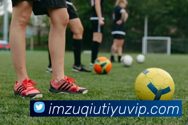 IM体育APP 封面图